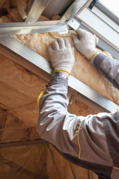 Best Specialized Insulation Services in Albany, IN