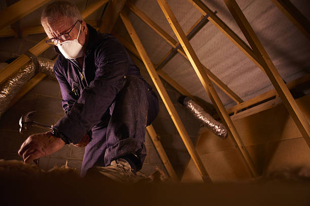 Best Cellulose Insulation in Albany, IN