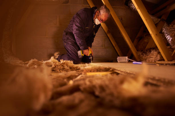Professional Insulation Contractor in Albany, IN